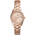 Buy Fossil Ladies Watch Scarlette Mini ES4318 Quartz