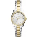 Fossil Ladies Watch Scarlette Mini ES4319 Quartz Buy Fossil Ladies Watch Scarlette Mini ES4319 Quartz